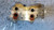 AUDI A6 «4F5» AVANT (2005) MOTORE RADIATORE OLIO USATO Da 2004 A 2008 [[266940]]