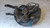 CITROEN C5 «III» SW (2008) ASSALE FUSELLO RUOTA POST. SX. USATO Da 2009 in poi [[267047]]