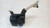 OPEL ADAM (2013) CRISTALLI VASCHETTA TERGICRISTALLI USATO Da 2014 in poi [[267183]]