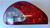 JAGUAR X-TYPE (2001) FANALERIA FANALE POST. SX. USATO Da 2001 in poi [[267268]]
