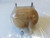 FORD KA «II» (2009) TERMICO VASCHETTA ACQUA USATO Da 2008 in poi [[267376]]
