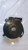 OPEL ADAM (2013) STERZO PIASTRA CONTATTO USATO Da 2014 in poi [[267434]]