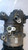 TOYOTA RAV 4 «III» (2006) TERMICO COMPRESSORE A/C USATO Da 2005 A 2008 [[267663]]