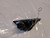 LANCIA Y (YPSILON) (1996) FANALERIA FANALINO COMPLETO ANT. DX. USATO Da 2001 A 2003 [[267999]]