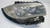 BMW SERIE 1 «E87» BERLINA (2005) FANALERIA PROIETTORE ANT. DX. USATO Da 2004 A 2012 [[268430]]