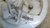 POMPA CARBURANTE C/GALLEGGIANTE USATO DAL 2012 AL 2013 FIAT PANDA «II» (2012) 0580200134 [[259936]]