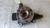 FIAT CROMA «II» (2007) ASSALE FUSELLO RUOTA ANT. DX. USATO Da 2007 A 2011 [[264427]]