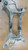 VOLVO V60 «I» (2010) ASSALE ASSALE POST. USATO Da 2010 A 2013 [[268970]]