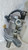 CITROEN C3 «II» (2010) IMPIANTO FRENANTE POMPA FRENO ANT. USATO Da 2010 A 2013 [[269051]]