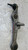 BRACCIO OSCILLANTE (ANT INF.) ANT. SX. USATO DAL 2005 AL 2008 AUDI A4 «8ED» AVANT (2005) 8E0407151R [[269147]]