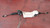 SKODA YETI (2010) STERZO SCATOLA STERZO C/SERVOSTERZO USATO Da 2009 A 2013 [[269520]]