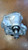 SKODA YETI (2010) CAMBIO E TRASMISSIONE RIDUTTORE CAMBIO USATO Da 2009 A 2013 [[269532]]