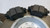 SKODA YETI (2010) IMPIANTO FRENANTE DISCO FRENO POST. SX. USATO Da 2009 A 2013 [[269505]]