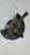 FIAT FREEMONT (2011) ASSALE FUSELLO RUOTA ANT. DX. USATO Da 2011 A 2014 [[269807]]