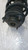 AMMORTIZZATORE ANT. SX. USATO DAL 2011 AL 2014 FIAT FREEMONT (2011) X12822J [[269808]]