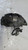 PINZA FRENO ANT. DX. USATO DAL 2011 AL 2014 FIAT FREEMONT (2011) K68144160AB [[269830]]