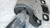 VOLVO V60 «I» (2010) ASSALE BRACCIO OSCILLANTE ANT. DX. USATO Da 2010 A 2013 [[268986]]