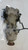 SUZUKI SX4 (2006) CAMBIO E TRASMISSIONE DIFFERENZIALE POST. USATO Da 2005 A 2009 [[270127]]