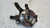 CHEVROLET CAPTIVA «I» (2007) ASSALE FUSELLO RUOTA ANT. SX. USATO Da 2006 A 2010 [[270146]]