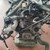 MERCEDES VITO «W447» (2014) MOTORE MOTORE SEMICOMPLETO USATO [[270166]]