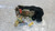 JEEP COMMANDER (2006) LAMIERATI ESTERNI SERRATURA PORTA POST. DX. USATO Da 2005 in poi [[270209]]