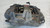 ALFA ROMEO GIULIA (2016) IMPIANTO FRENANTE PINZA FRENO ANT. SX. USATO Da 2016 A 2022 [[270964]]
