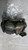 FIAT TIPO «II» (2016) IMPIANTO FRENANTE PINZA FRENO ANT. DX. USATO Da 2015 A 2020 [[271712]]