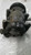 RENAULT CLIO «II» (1999) TERMICO COMPRESSORE A/C USATO Da 2001 A 2008 [[271902]]