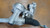 MINI COUNTRYMAN COOPER «F60» (2017) STERZO SCATOLA STERZO C/SERVOSTERZO (REVISIONATA) USATO Da 2018 A 2020 [[272046]]