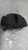 AUDI A8 «4E» (2003) IMPIANTO FRENANTE PINZA FRENO ANT. DX. USATO Da 2003 A 2005 [[272230]]
