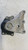 VOLKSWAGEN POLO «VI» (2014) MOTORE SUPPORTO GOMMA MOTORE DX. USATO Da 2014 A 2017 [[272408]]