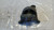 OPEL MERIVA «B» (2010) MOTORE SUPPORTO GOMMA MOTORE DX. USATO Da 2010 A 2013 [[272610]]