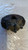 OPEL MERIVA «B» (2010) IMPIANTO FRENANTE PINZA FRENO ANT. SX. USATO Da 2010 A 2013 [[272613]]
