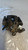 OPEL MERIVA «B» (2010) IMPIANTO FRENANTE PINZA FRENO POST. DX. USATO Da 2010 A 2013 [[272617]]