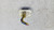 OPEL AGILA «B» (2008) TERMICO RESISTENZA VENTILAZIONE ABITACOLO USATO Da 2010 in poi [[272734]]