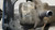 OPEL MOKKA (2013) MOTORE POMPA A VUOTO USATO Da 2012 A 2016 [[272834]]