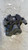 AUDI A3 «8VA» SPORTBACK (2012) IMPIANTO FRENANTE PINZA FRENO POST. SX. USATO Da 2012 A 2016 [[273599]]