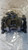 AUDI A3 «8VA» SPORTBACK (2012) IMPIANTO FRENANTE PINZA FRENO POST. DX. USATO Da 2012 A 2016 [[273600]]