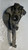 AUDI A4 «8KH» ALLROAD (2012) ASSALE FUSELLO RUOTA ANT. SX. USATO Da 2013 A 2016 [[273667]]