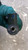 MERCEDES VITO «W447» (2014) SCARICO E INIEZIONE INIETTORE USATO Da 2014 A 2019 [[274062]]