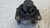 ALTERNATORE USATO DAL 2005 AL 2009 RENAULT SCÉNIC «II» (2003) 8200667608 [[274399]]