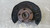TOYOTA COROLLA VERSO «II» (2004) ASSALE FUSELLO RUOTA ANT. DX. USATO Da 2005 in poi [[274877]]