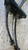 FIAT DUCATO «250» (2007) CAMBIO E TRASMISSIONE CAVO COMANDO CAMBIO USATO Da 2006 A 2011 [[274999]]