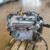 SUZUKI ALTO «V» (2009) MOTORE MOTORE SEMICOMPLETO USATO Da 2009 A 2014 [[275266]]