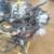 SUZUKI ALTO «V» (2009) MOTORE MOTORE SEMICOMPLETO USATO Da 2009 A 2014 [[275266]]