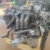 SUZUKI ALTO «V» (2009) MOTORE MOTORE SEMICOMPLETO USATO Da 2009 A 2014 [[275266]]