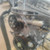 SUZUKI ALTO «V» (2009) MOTORE MOTORE SEMICOMPLETO USATO Da 2009 A 2014 [[275266]]