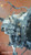 FIAT SCUDO «I» (1996) CAMBIO E TRASMISSIONE CAMBIO USATO Da 1997 A 2000 [[275434]]