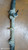 ALFA ROMEO MITO (2008) STERZO SCATOLA STERZO C/SERVOSTERZO USATO Da 2009 A 2011 [[275632]]