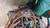 ALFA ROMEO MITO (2008) IMPIANTO ELETTRICO SCATOLA FUSIBILI USATO Da 2009 A 2011 [[275649]]